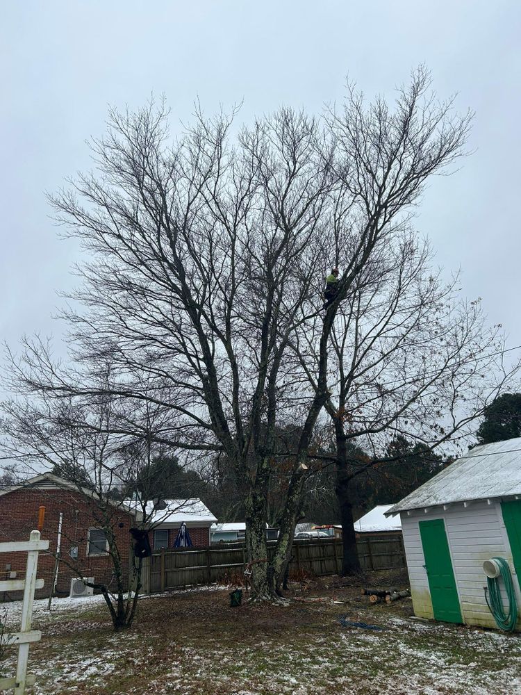 All Photos for The Whole 9 Yards Landscape VA in Heathsville, VA