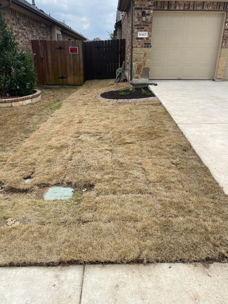 Landscaping for Chavira Landscape & Irrigation in Austin, TX