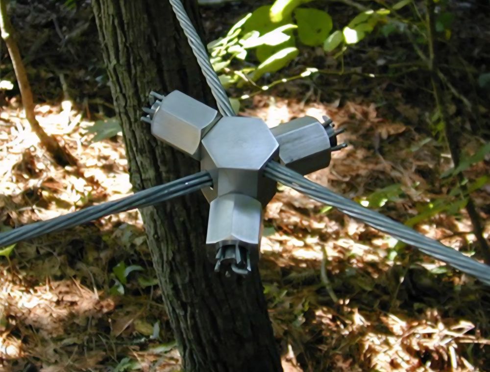 All Photos for Highborn Tree Service in Wheatfield, IN