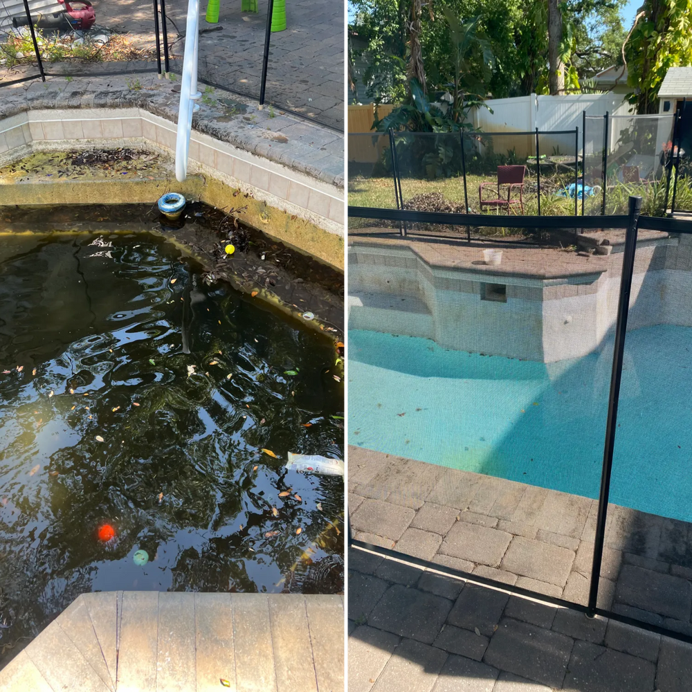 All Photos for Blue Bay Pools in Tampa, FL