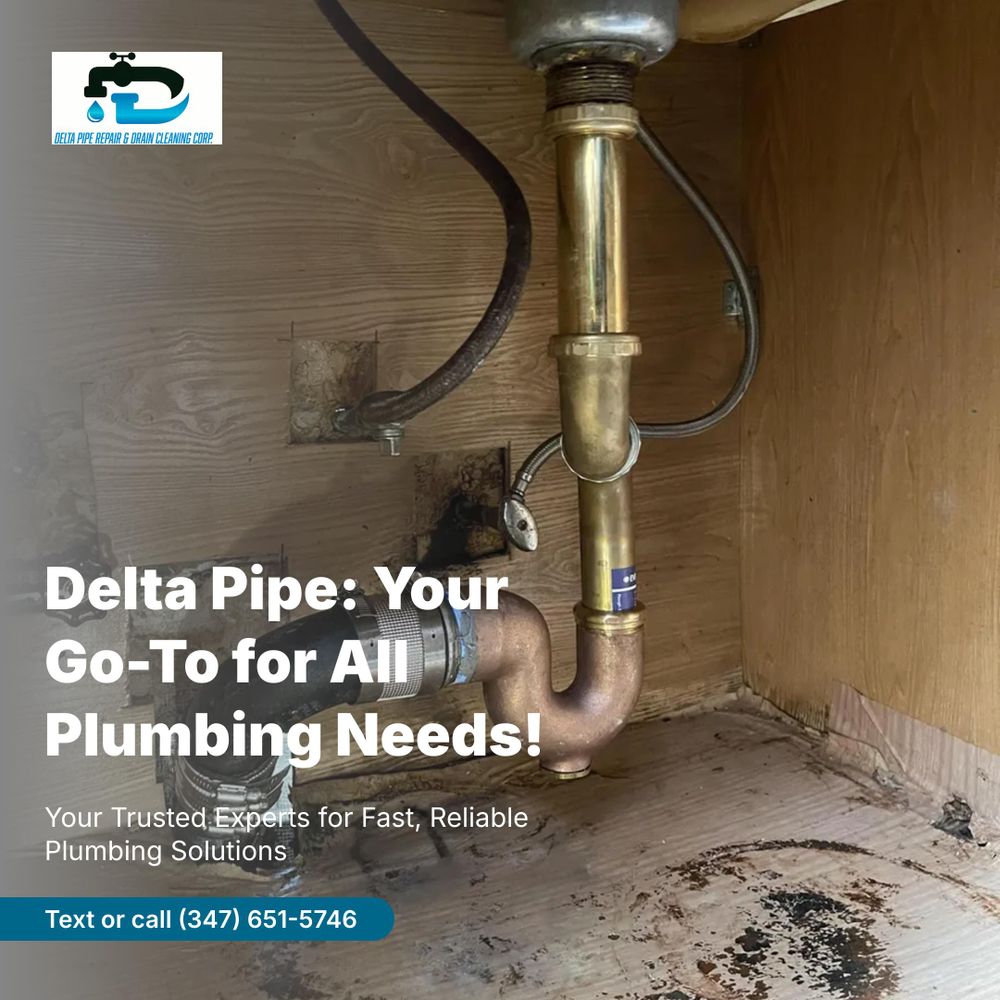 DELTA PIPE REPAIR & DRAIN CLEANING CORP team in Bronx, NY - people or person