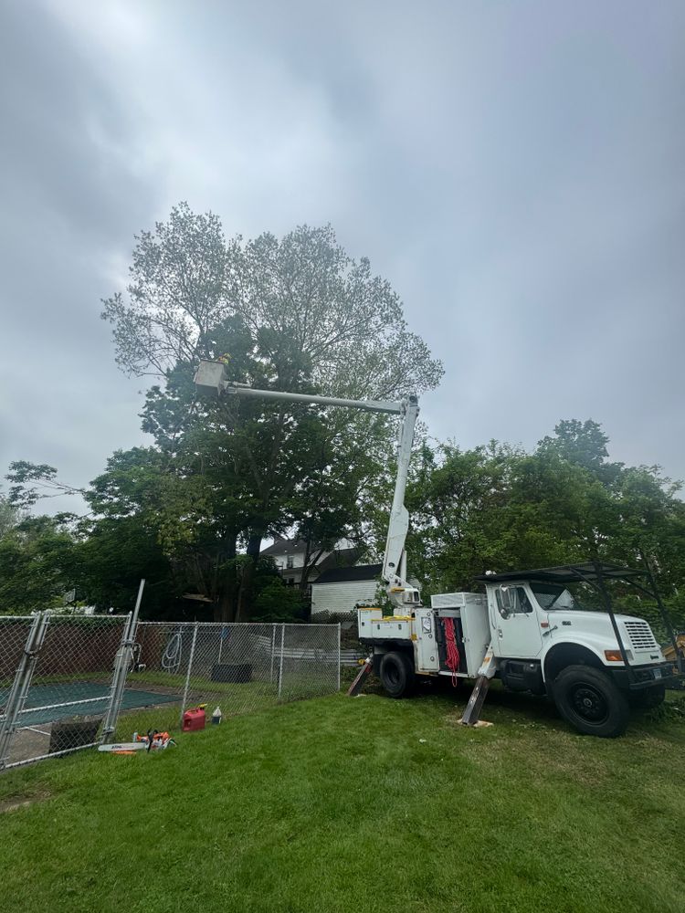 All Photos for Hennessey Tree & Landscape LLC in Oxford,  CT 