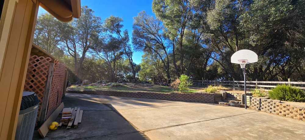 All Photos for George Staddan's Professional Tree Care in Placerville, CA