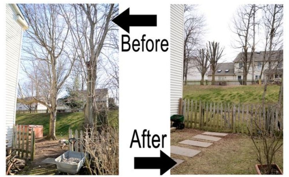 Landscaping for Douthat Solutions in Clearwater, FL