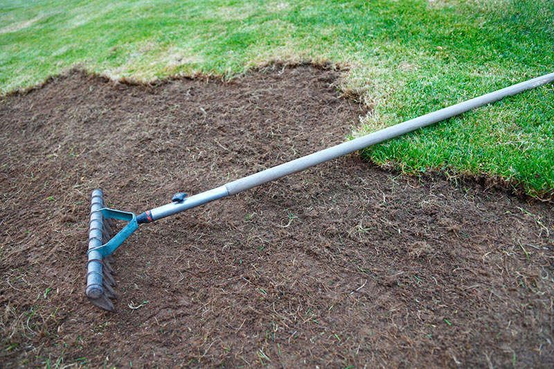 Our lawn repairs service restores patchy, damaged grass after pest activity, improving appearance and health with targeted treatments, expert care, and tailored solutions that help your lawn recover strong and green. for Soto Green Co. in Milford, PA