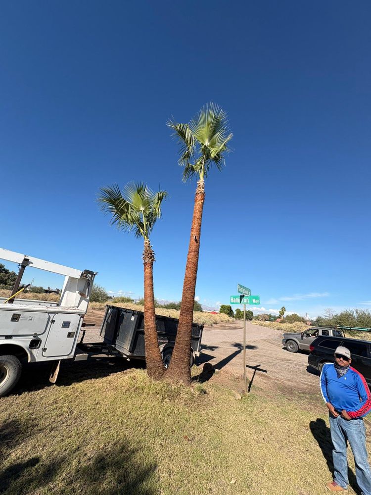 All Photos for Top Notch Landscape Services LLC in Mohave Valley, AZ