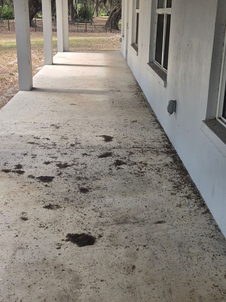 All Photos for Above the Lawn Cuts and Pressure Washing in Sebring, FL