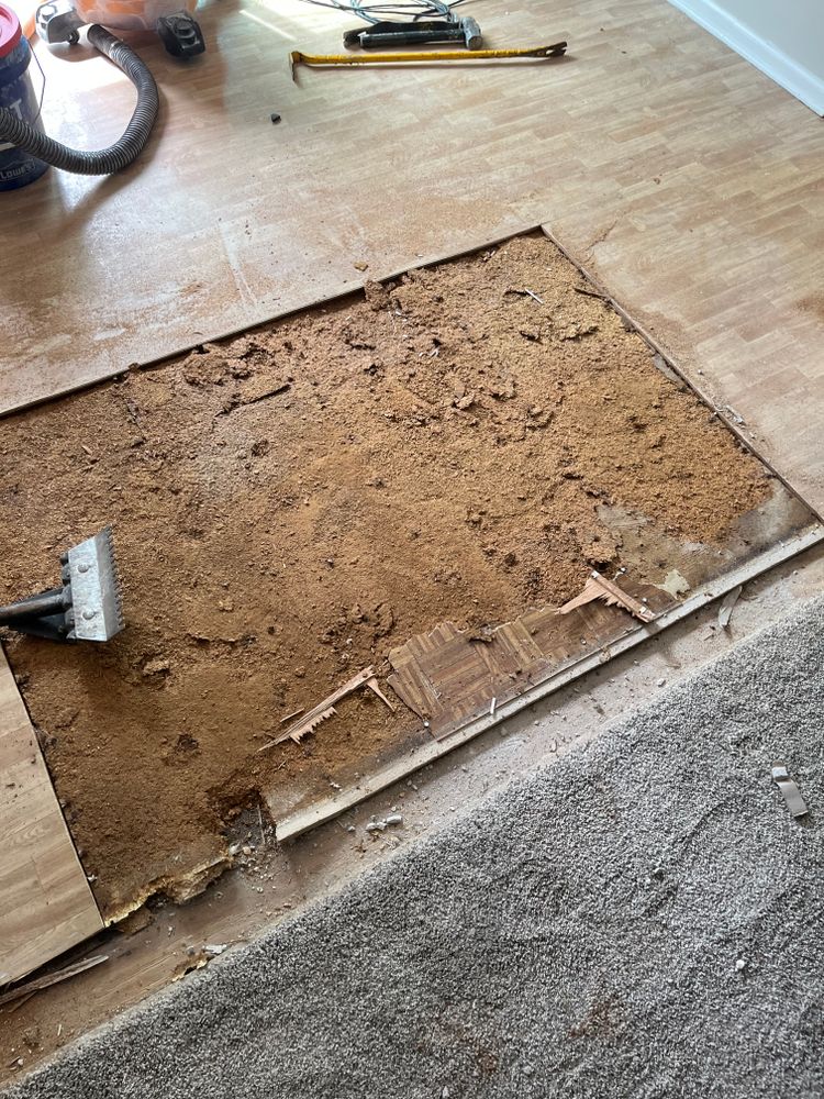 All Photos for Green Wing Home Services in Murrells Inlet, SC