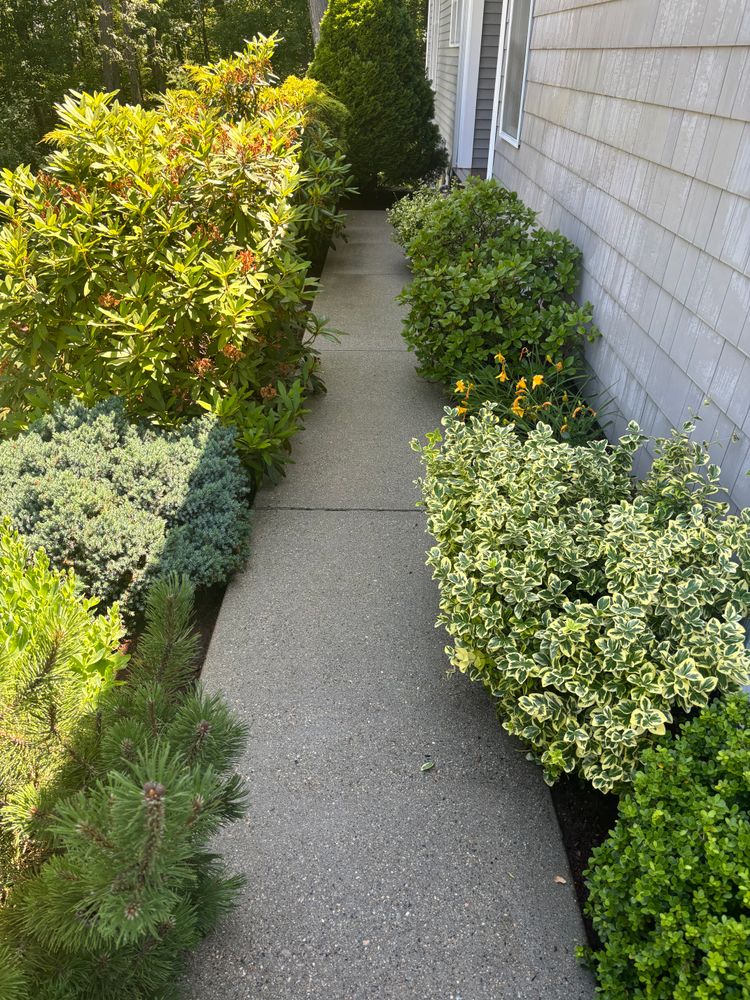 Home Softwash for Unlimited Softwash in Bellingham, MA