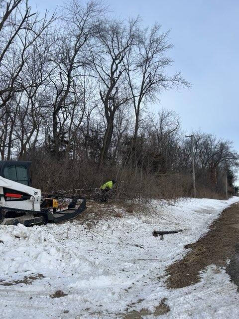 All Photos for Fransen's Tree Service  in Freeport, IL