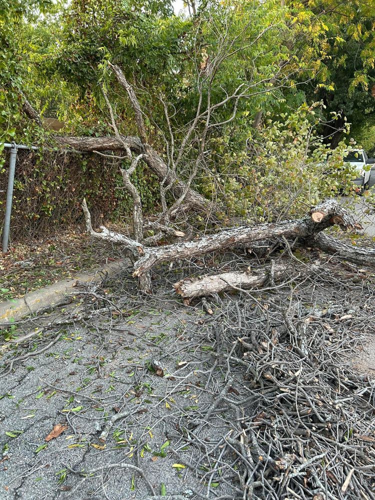 All Photos for Rustic Roots Landscaping in Austin, TX