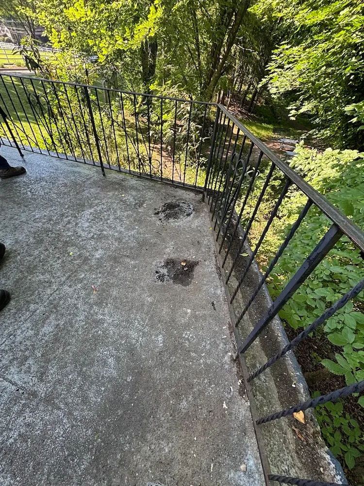 All Photos for Ortiz & Puchi General Cleaning INC. in Brooklyn, NY