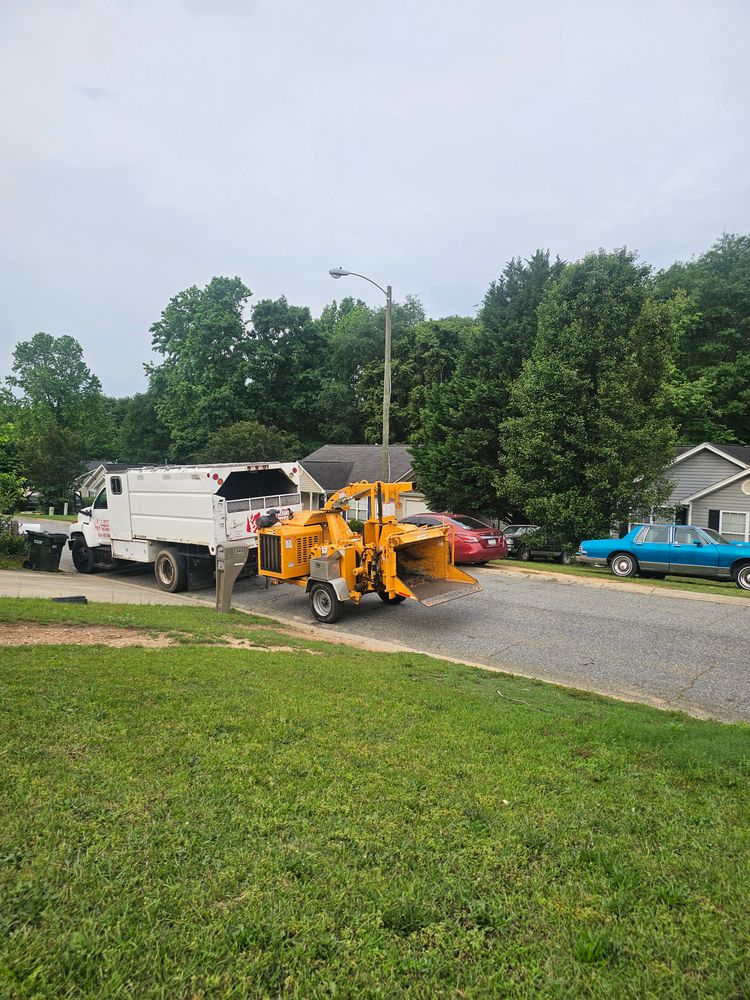 All Photos for Sasquatch Tree Services LLC in Spartanburg, SC