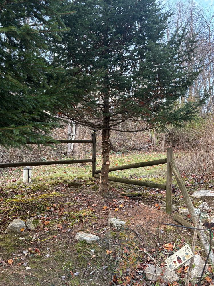 All Photos for Cam Yardz in Washington, PA