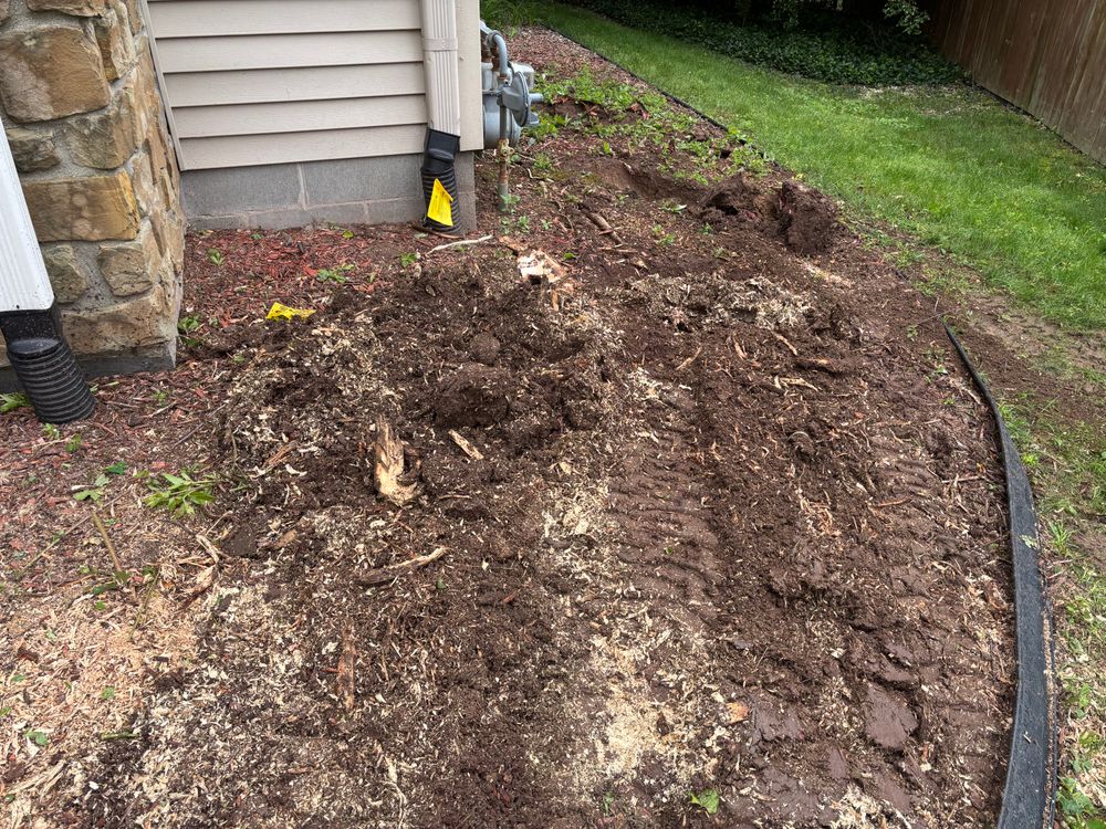 All Photos for Conrad's Stump Removal in Columbus, IN