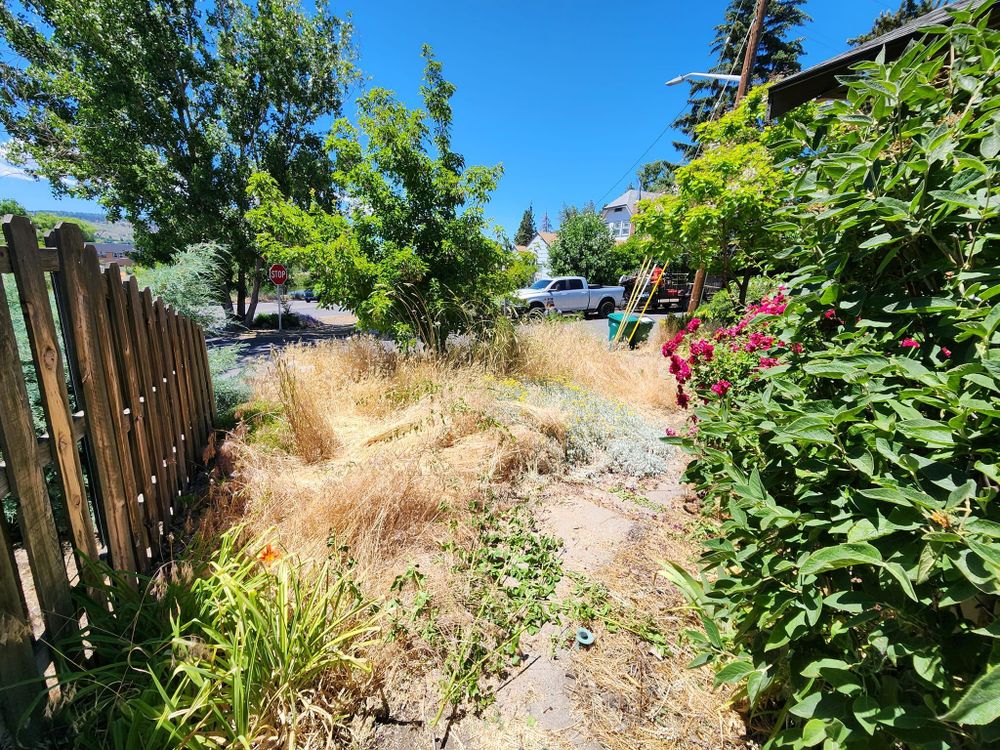 All Photos for Bernal's Lawn Care/Tree Service in Klamath Falls,  OR