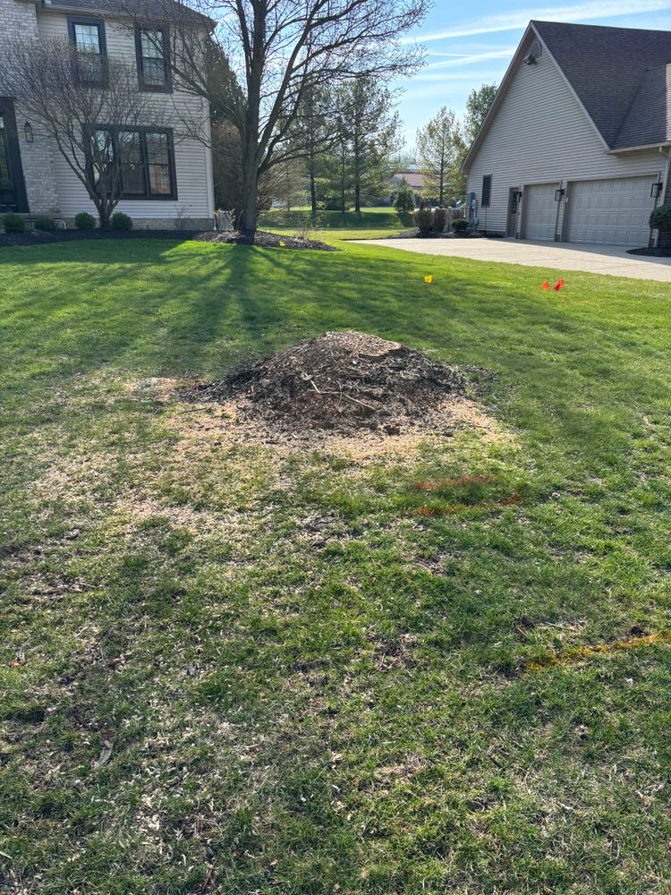 All Photos for Dean's Stump Removal in Youngstown, OH