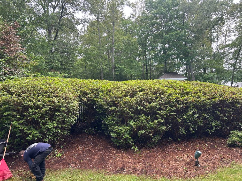 All Photos for The Whole 9 Yards Landscape VA in Heathsville, VA