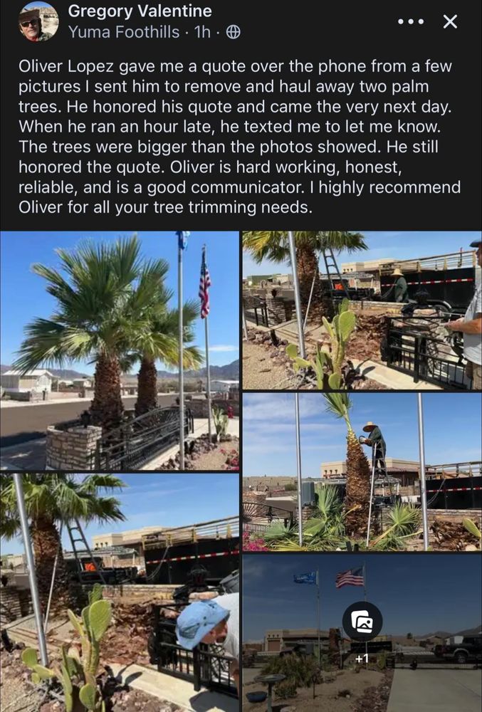All Photos for Oliver L. Palm & Tree services in Yuma County, AZ