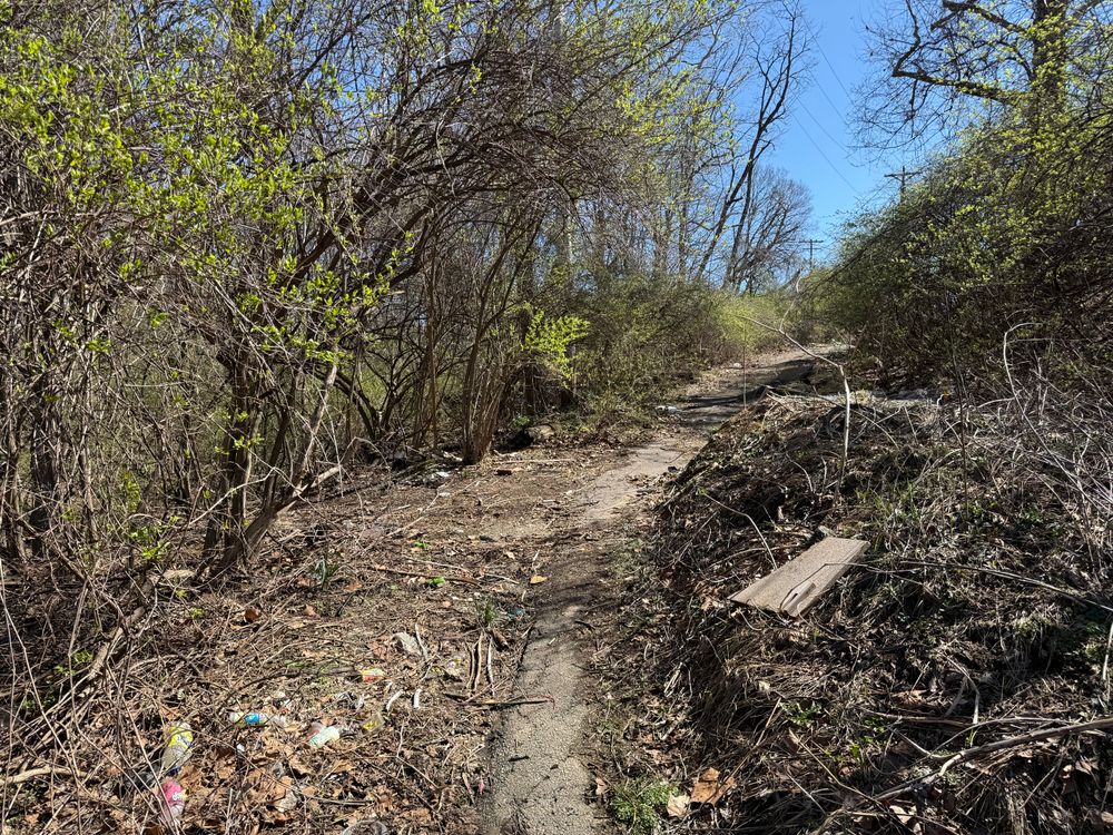 All Photos for A1 Bush Hogging & Lawn Service in London, OH