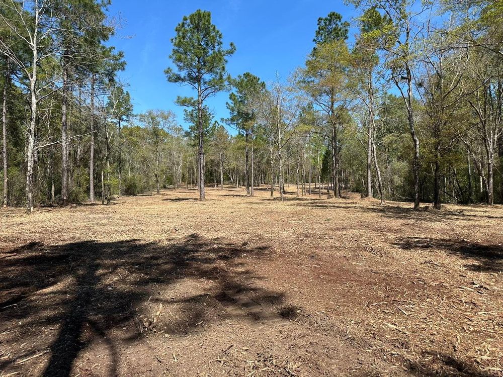 Our Land Clearing service will help you reclaim your outdoor space, remove unwanted vegetation and debris, and create a beautiful landscape. for White’s Land Maintenance in Milton,, FL