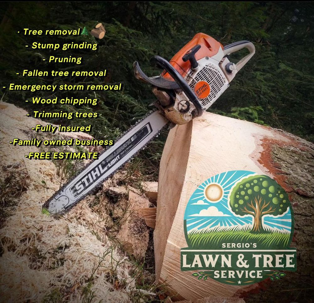 Our tree removal service ensures safe, efficient elimination of hazardous or unwanted trees, enhancing your property's safety and aesthetic appeal while promoting healthy landscape growth. Trust our professional team for expert care. for Sergio’s Lawn and Tree Service in Knoxville, TN