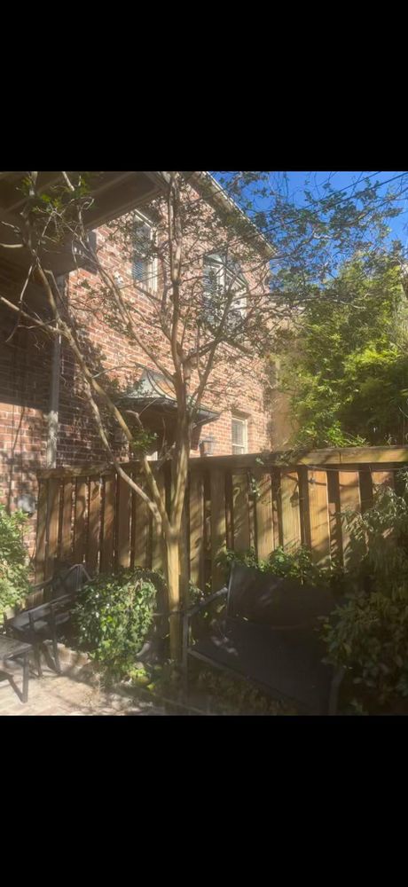 All Photos for Hawkins Tree Service & Land Management in Richmond Hill, GA