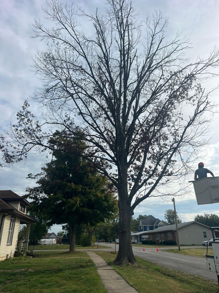 All Photos for Baker Professional Services LLC in Shelbina, MO