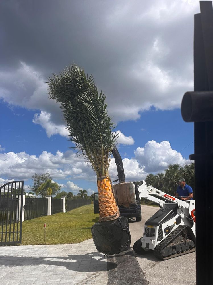 Landscaping for Plant World LLC in Cape Coral, FL