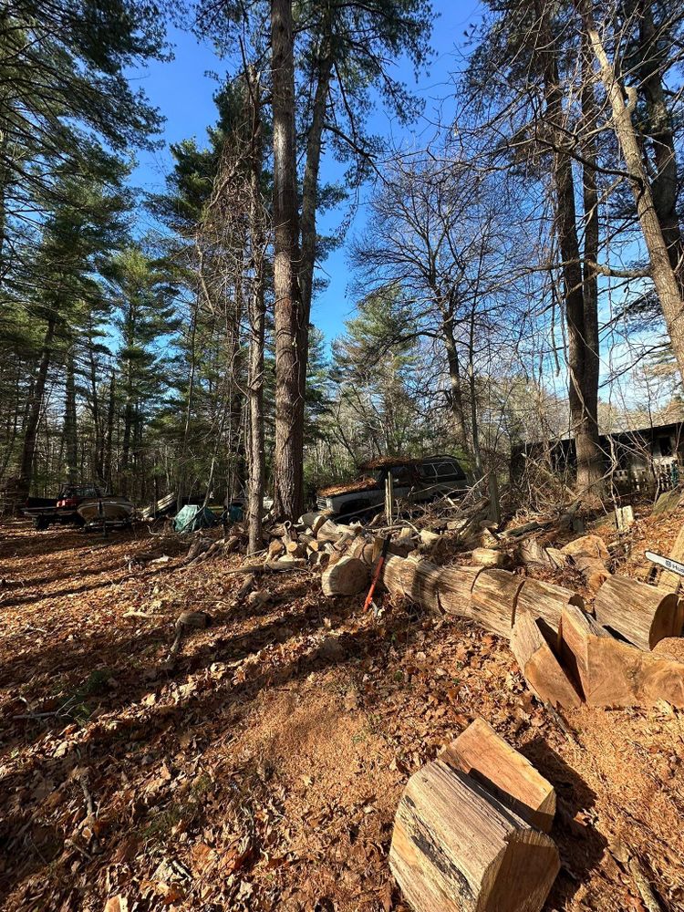 All Photos for Silver City Tree and Landscape in Taunton, MA