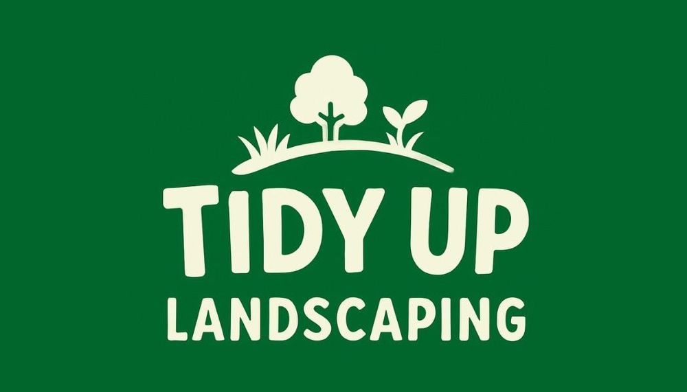 All Photos for Tidy Up Landscape and Design in Chandler, AZ