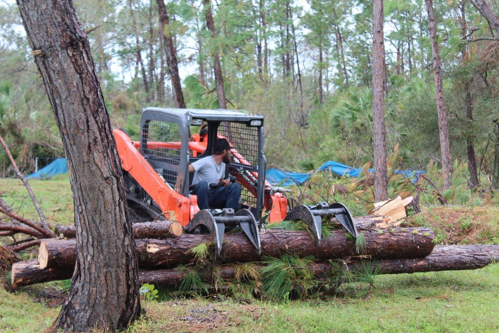 Tree Removal for American Tree Masters in Alvin, TX