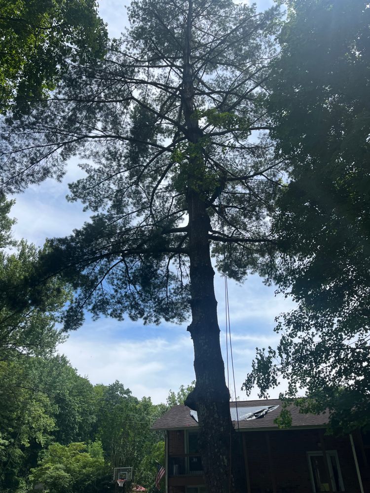 All Photos for Taylors Enterprises in Johnson City, TN