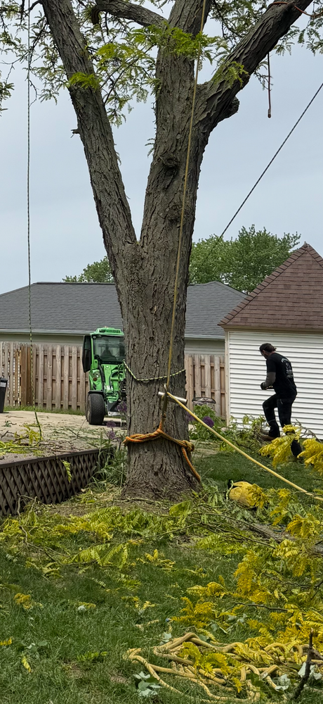 All Photos for Down To Earth Tree Service, LLC in Olmsted Falls, OH