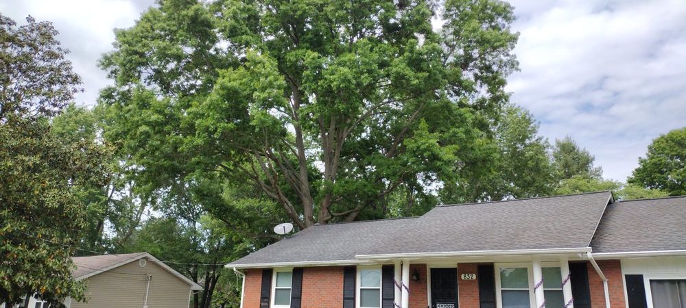 All Photos for Rush Tree Specialist in Knoxville, TN