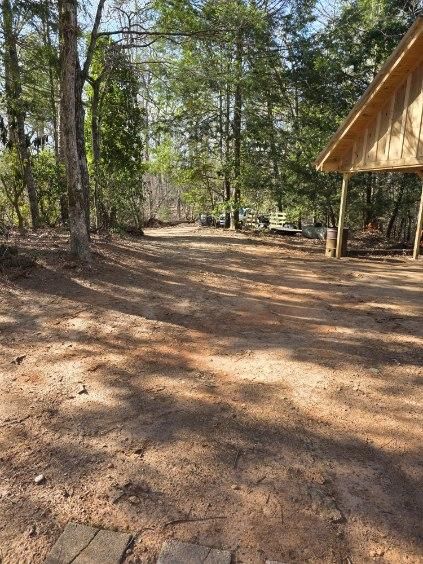 All Photos for Bobcat Bob in Clermont, GA