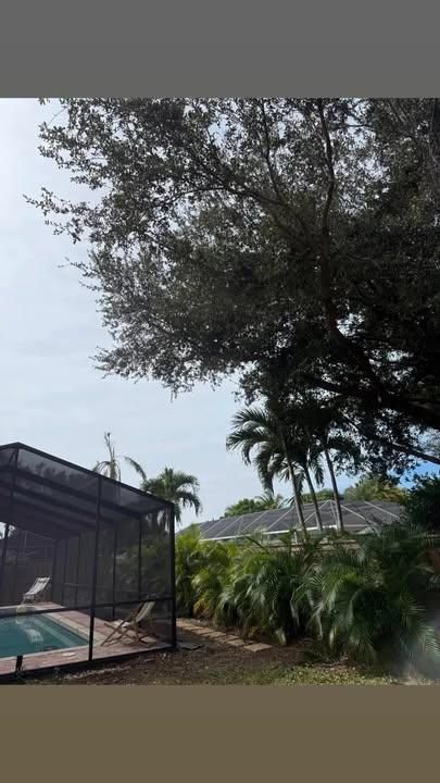 All Photos for Damian’s Tree Care in Sarasota, FL