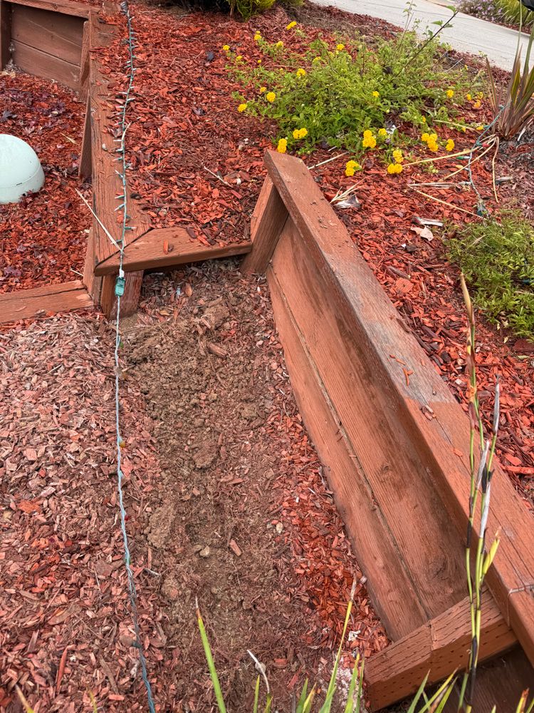 All Photos for CBA Landscaping in Hayward, CA