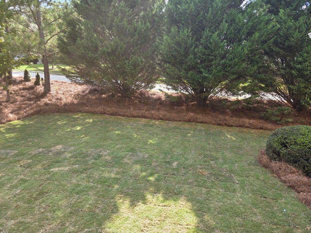 All Photos for GA Lawn Care Pros in Jefferson, GA