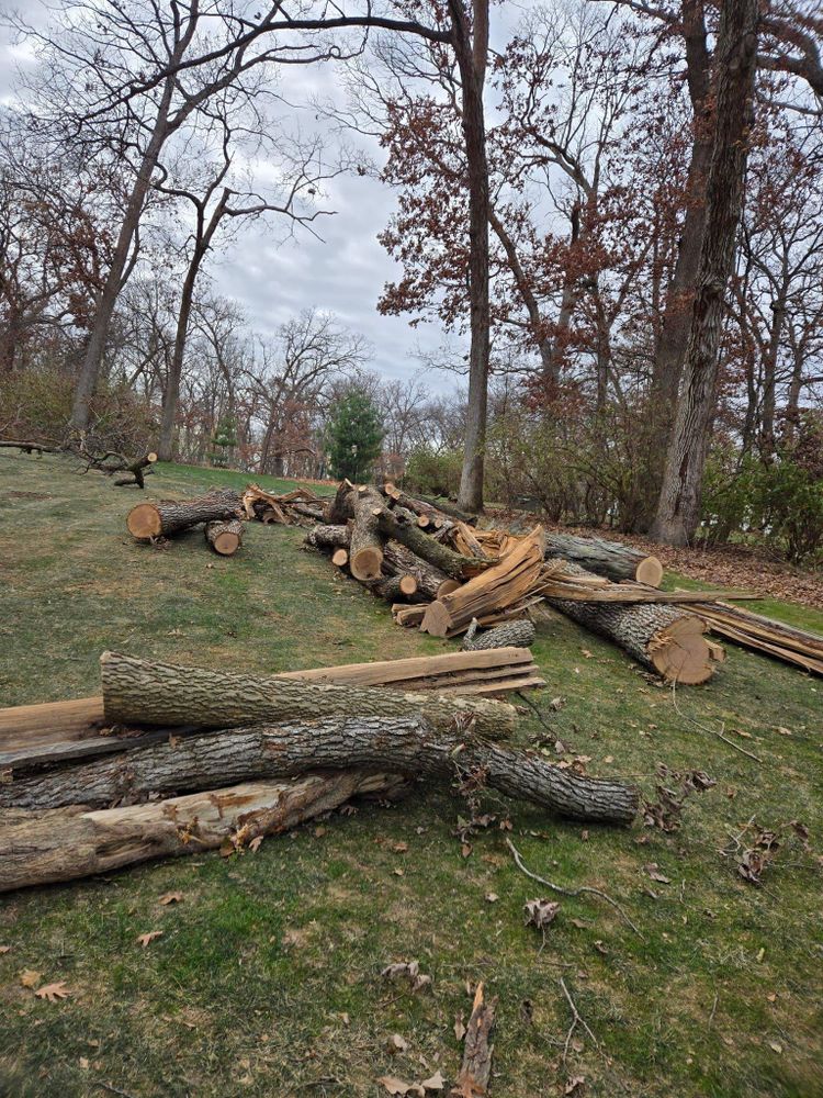 All Photos for Olson Tree Service, Inc in Rockford, IL