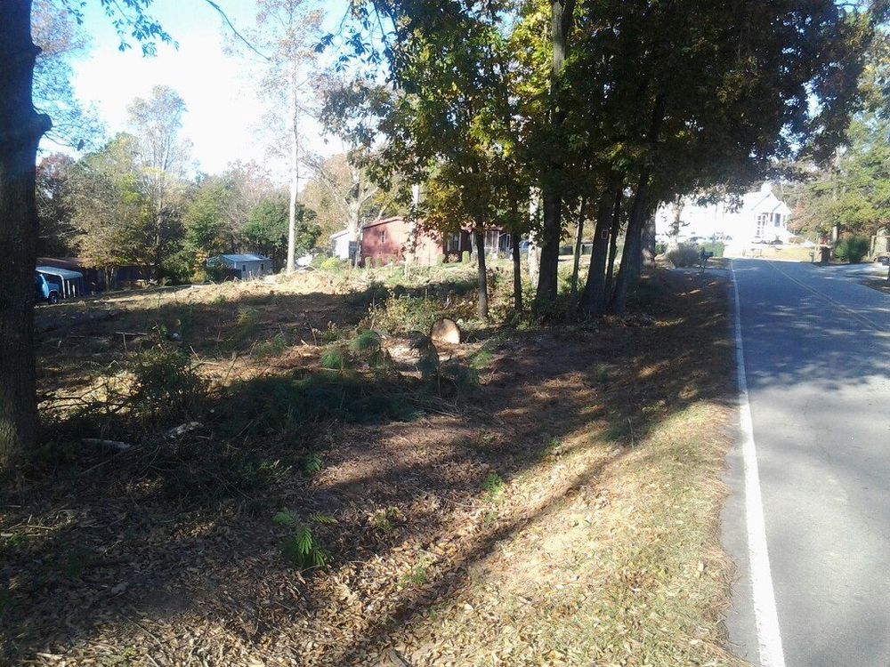 Tree Services for Wofford's Grading Clearing and Landscaping in Milton, GA