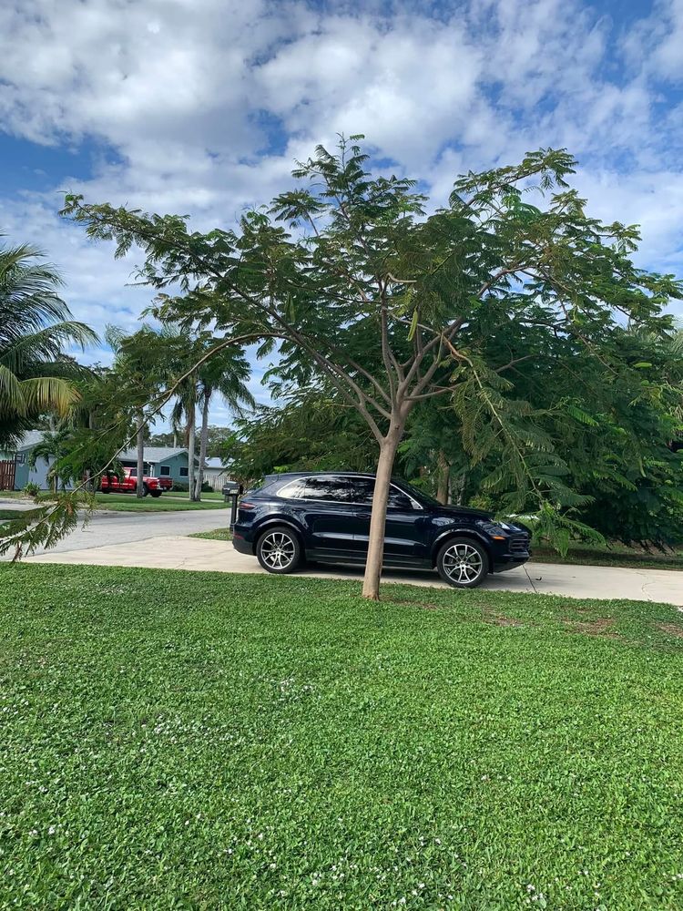 All Photos for Space Coast Property Maintenance and Management LLC in Melbourne, FL
