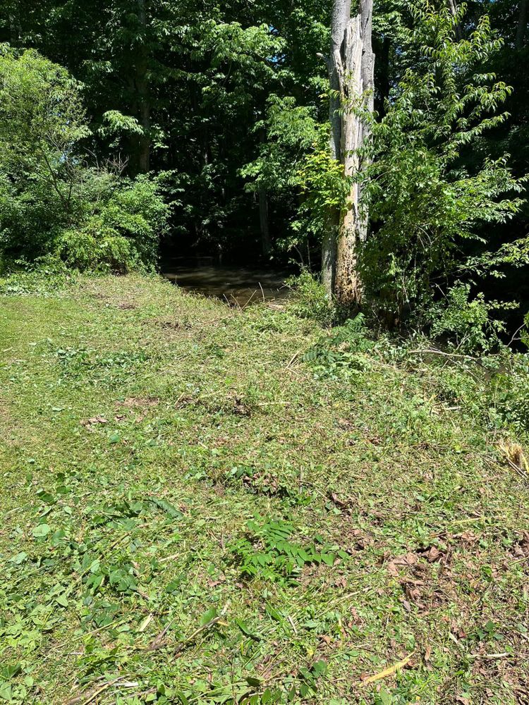 Our Land Clearing service efficiently removes trees, brush, and debris from your property to enhance its beauty and functionality, ensuring a clean slate for your landscaping or construction projects. for Deer Run Property Services in Rocky Gap, VA