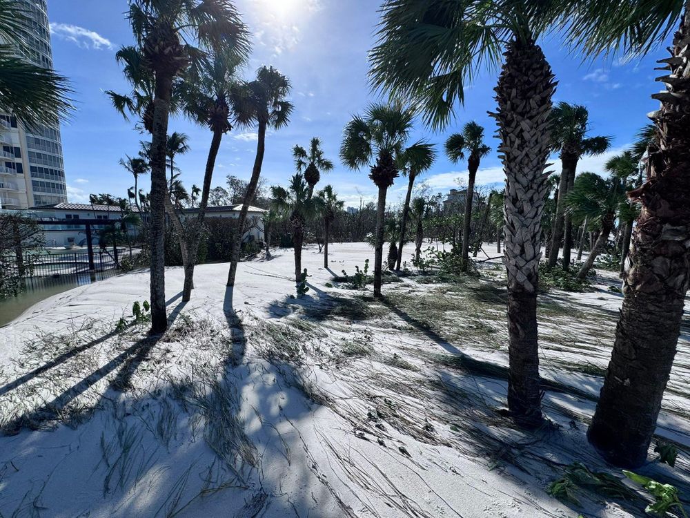 All Photos for McLeran in Naples, FL