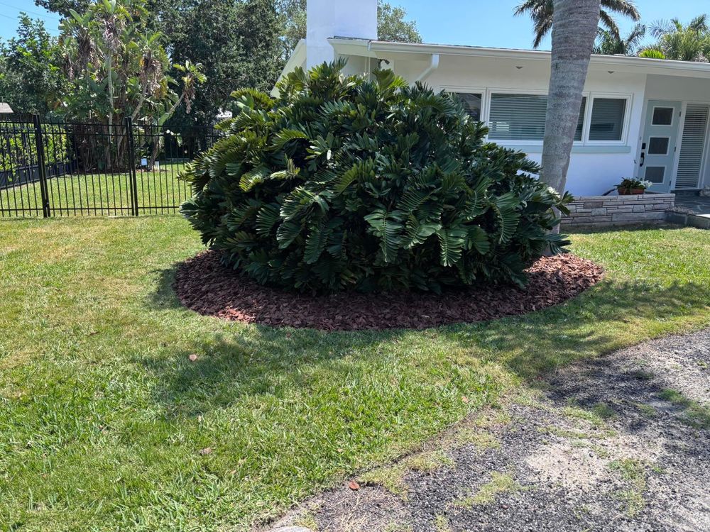 All Photos for Tolliver’s landscape LLC in Palm Bay, FL