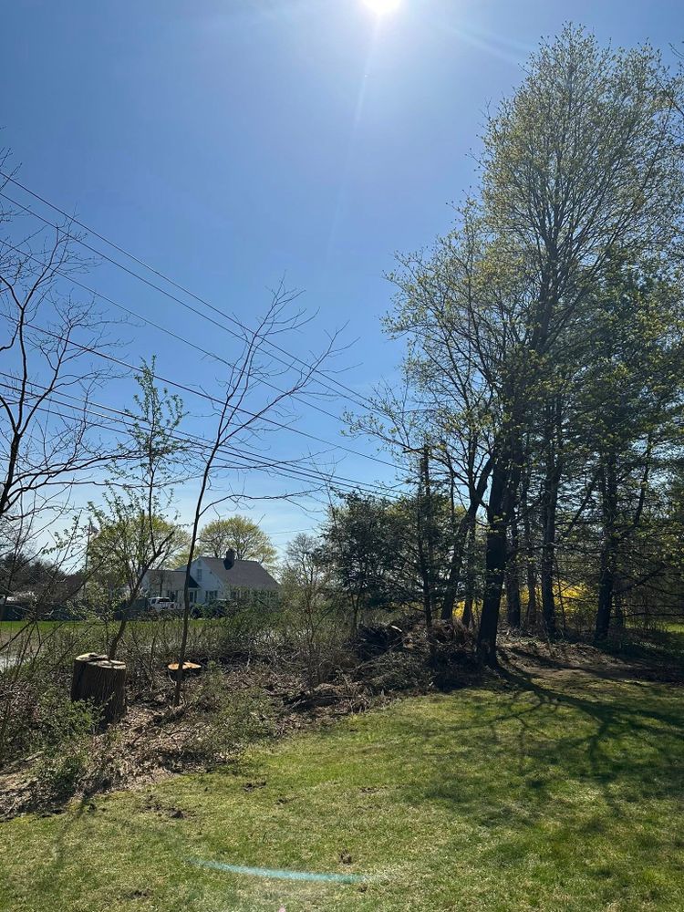 All Photos for Silver City Tree and Landscape in Taunton, MA