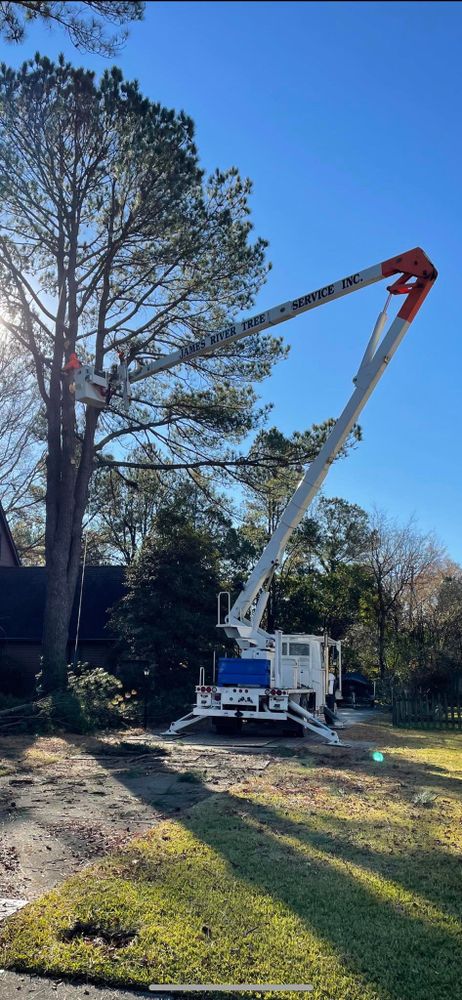 Our professional Tree Removal service safely and efficiently removes unwanted or hazardous trees, ensuring your property's safety and aesthetics while minimizing disruption to your landscape. Trust our experts for reliable tree care. for James River Tree Service in Suffolk, VA