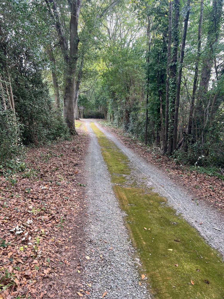All Photos for Brooks Tree Service in Casar, NC