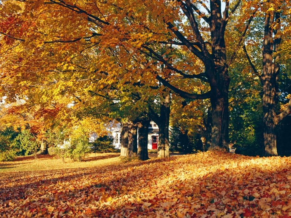 All Photos for HillyGoat Lawn Care in Provo, UT
