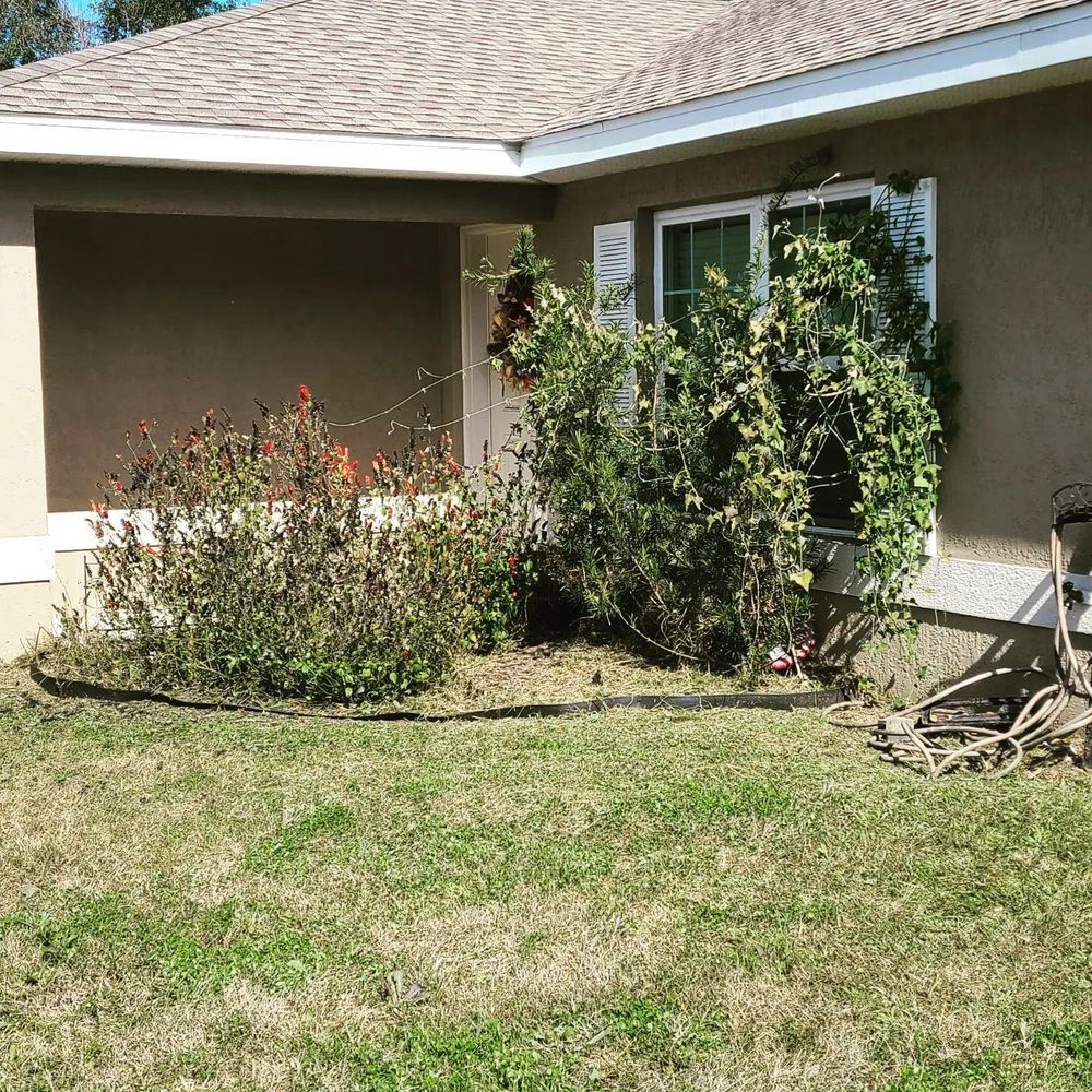 All Photos for TopNotch Landscaping Services  in The Villages, FL